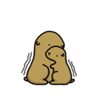 ツブラナドウブツ（個別スタンプ：36）