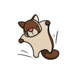 ツブラナドウブツ（個別スタンプ：39）