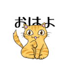 猫三昧（個別スタンプ：1）