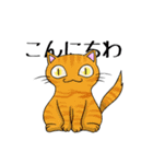 猫三昧（個別スタンプ：2）