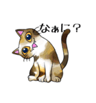 猫三昧（個別スタンプ：4）