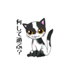 猫三昧（個別スタンプ：15）