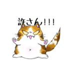 猫三昧（個別スタンプ：16）