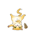 猫三昧（個別スタンプ：17）