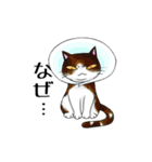 猫三昧（個別スタンプ：18）