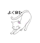 猫三昧（個別スタンプ：21）