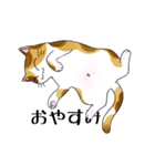 猫三昧（個別スタンプ：22）