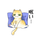 猫三昧（個別スタンプ：23）
