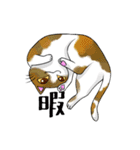 猫三昧（個別スタンプ：24）