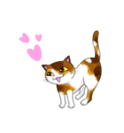 猫三昧（個別スタンプ：26）