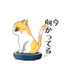 猫三昧（個別スタンプ：31）