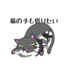 猫三昧（個別スタンプ：32）