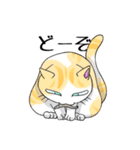 猫三昧（個別スタンプ：35）