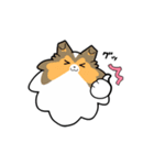 ゆるゆるシェルティ（個別スタンプ：9）