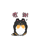 ゆるゆるシェルティ（個別スタンプ：11）