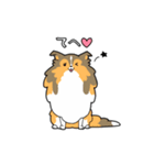 ゆるゆるシェルティ（個別スタンプ：12）
