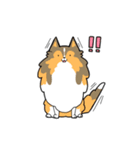 ゆるゆるシェルティ（個別スタンプ：15）