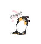 ゆるゆるシェルティ（個別スタンプ：19）