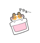 ゆるゆるシェルティ（個別スタンプ：20）