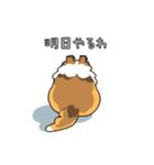 ゆるゆるシェルティ（個別スタンプ：25）