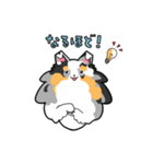 ゆるゆるシェルティ（個別スタンプ：33）