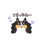 ゆるゆるシェルティ（個別スタンプ：34）