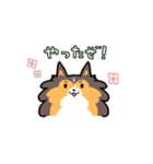 ゆるゆるシェルティ（個別スタンプ：35）