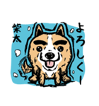 まゆ玉犬（個別スタンプ：19）