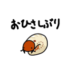 僕たちはカブトムシ（個別スタンプ：17）