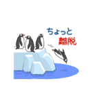 冷静ペンギン（個別スタンプ：9）