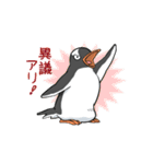 冷静ペンギン（個別スタンプ：35）