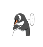 冷静ペンギン（個別スタンプ：36）