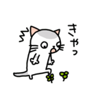 ムギネコ（個別スタンプ：31）