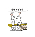 モイ (japan)（個別スタンプ：25）