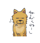 ころん先輩（個別スタンプ：1）