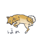 ころん先輩（個別スタンプ：4）