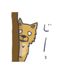 ころん先輩（個別スタンプ：6）