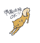 ころん先輩（個別スタンプ：7）