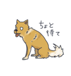 ころん先輩（個別スタンプ：11）