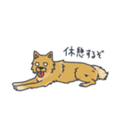 ころん先輩（個別スタンプ：12）