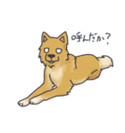 ころん先輩（個別スタンプ：16）