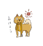 ころん先輩（個別スタンプ：19）