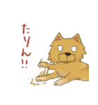 ころん先輩（個別スタンプ：23）