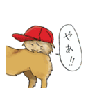 ころん先輩（個別スタンプ：24）