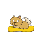 ころん先輩（個別スタンプ：31）