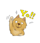 ころん先輩（個別スタンプ：35）