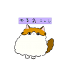 ふわふわのかわいい猫と友達スタンプ（個別スタンプ：3）