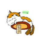 ふわふわのかわいい猫と友達スタンプ（個別スタンプ：5）