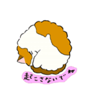 ふわふわのかわいい猫と友達スタンプ（個別スタンプ：8）