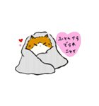 ふわふわのかわいい猫と友達スタンプ（個別スタンプ：11）